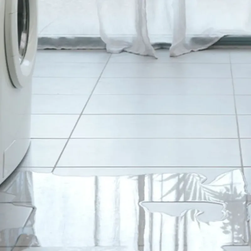 Appliance Leak Cleanup in Fairfax, CA