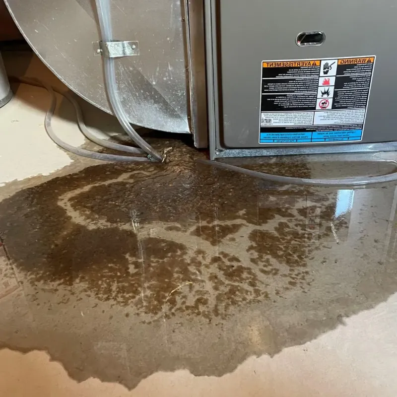 Pipe Burst and Leak Restoration in Fairfax, CA